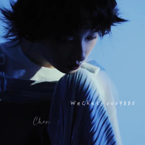 美女顺着丝袜往上摸视频大全
