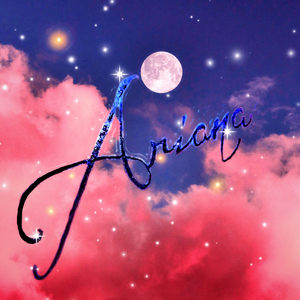 美女顺着丝袜往上摸视频大全
