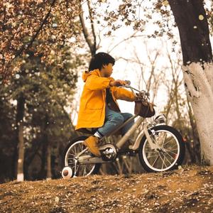 美女顺着丝袜往上摸视频大全
