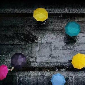 美女顺着丝袜往上摸视频大全
